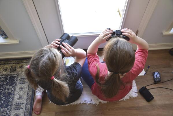 At 25 Backyard Bird Count shows power of citizen science AP News